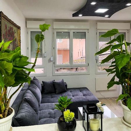 Apartment Tatjana Крагуевац Екстериор снимка