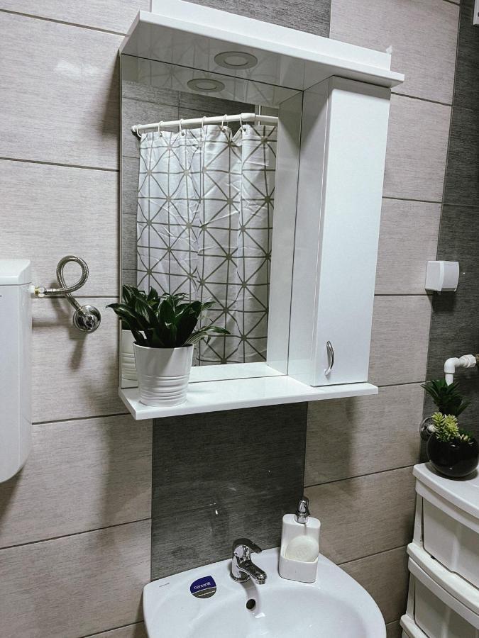 Apartment Tatjana Крагуевац Екстериор снимка