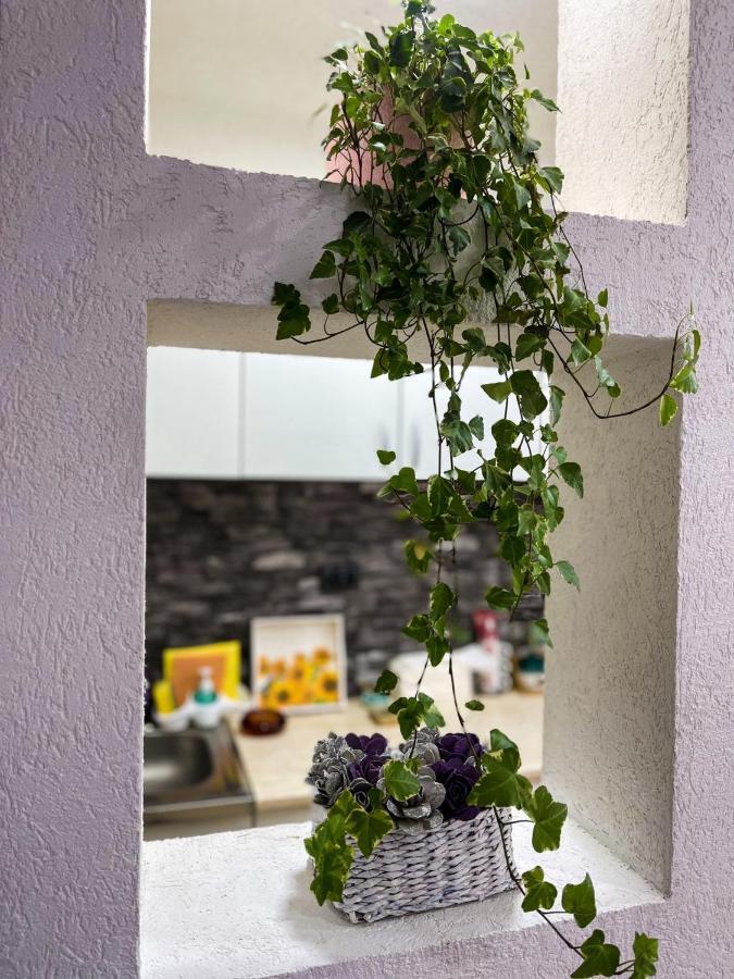 Apartment Tatjana Крагуевац Екстериор снимка
