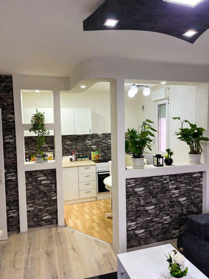 Apartment Tatjana Крагуевац Екстериор снимка